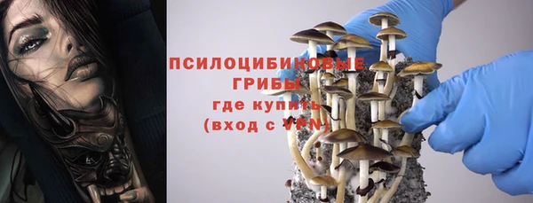 дживик Белокуриха