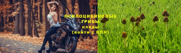 круглые Арсеньев