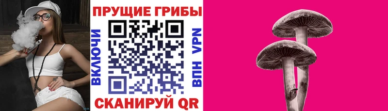 Псилоцибиновые грибы мухоморы  Купить  Северо-Курильск 